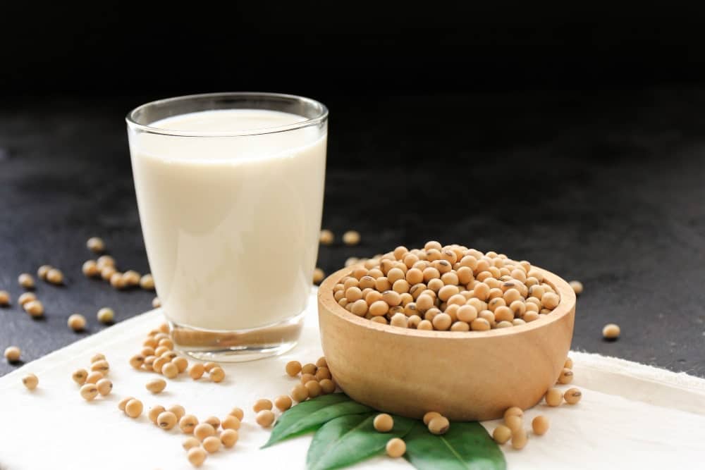 la meilleure proteine vegetale